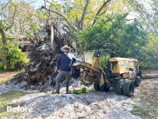 Yard Clearing Before