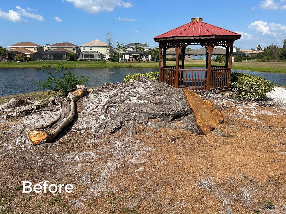 Gallery | Native Stump Grinding