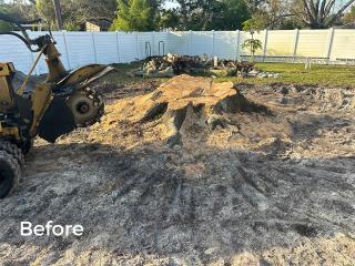 Back Yard Before